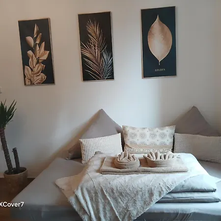 Apartament Ideal For 7 With Kitchen Near Danube Linz